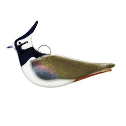 https://www.chant-oiseaux.fr/products/images250px/46/1-vibe-glas.jpg